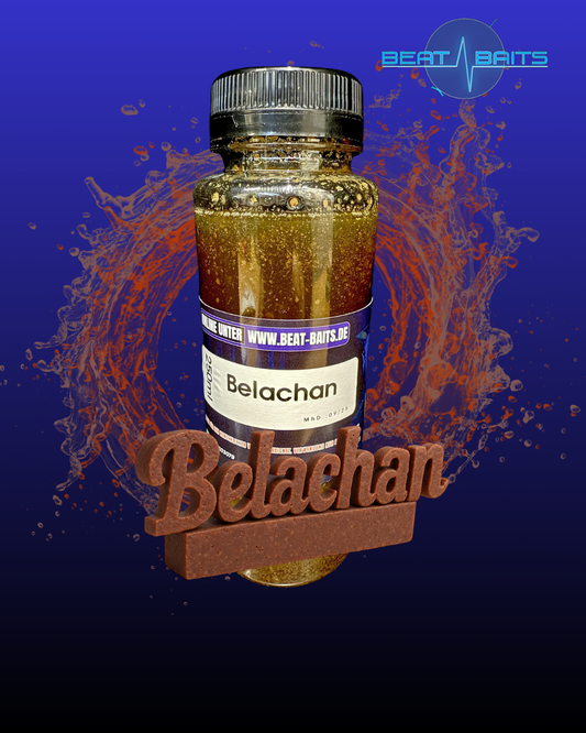 Belachan