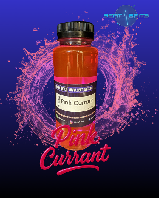 Pink Currant
