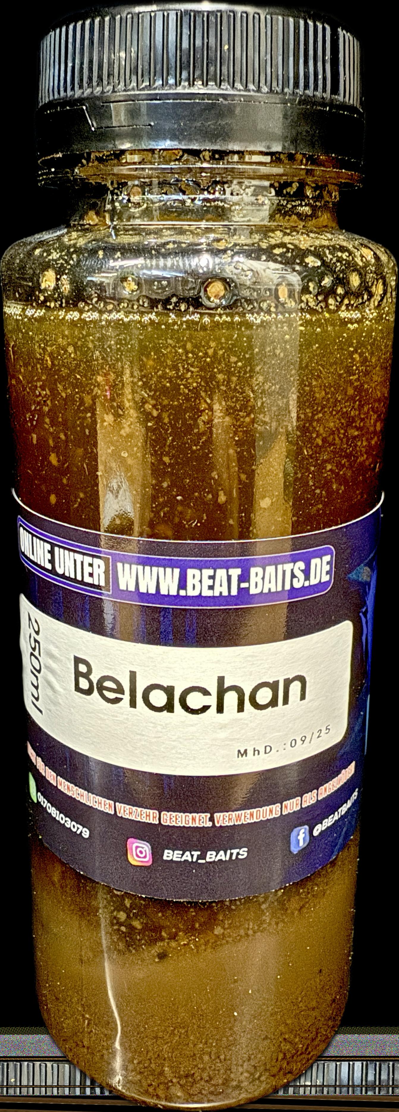 Belachan