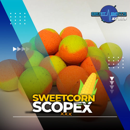 Fluo Two Tone - Sweetcorn / Scopex